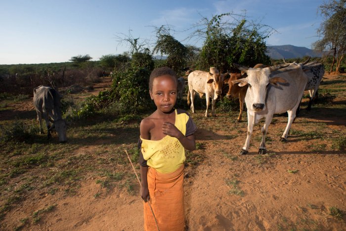 Lchekutis, los niños pastores masai